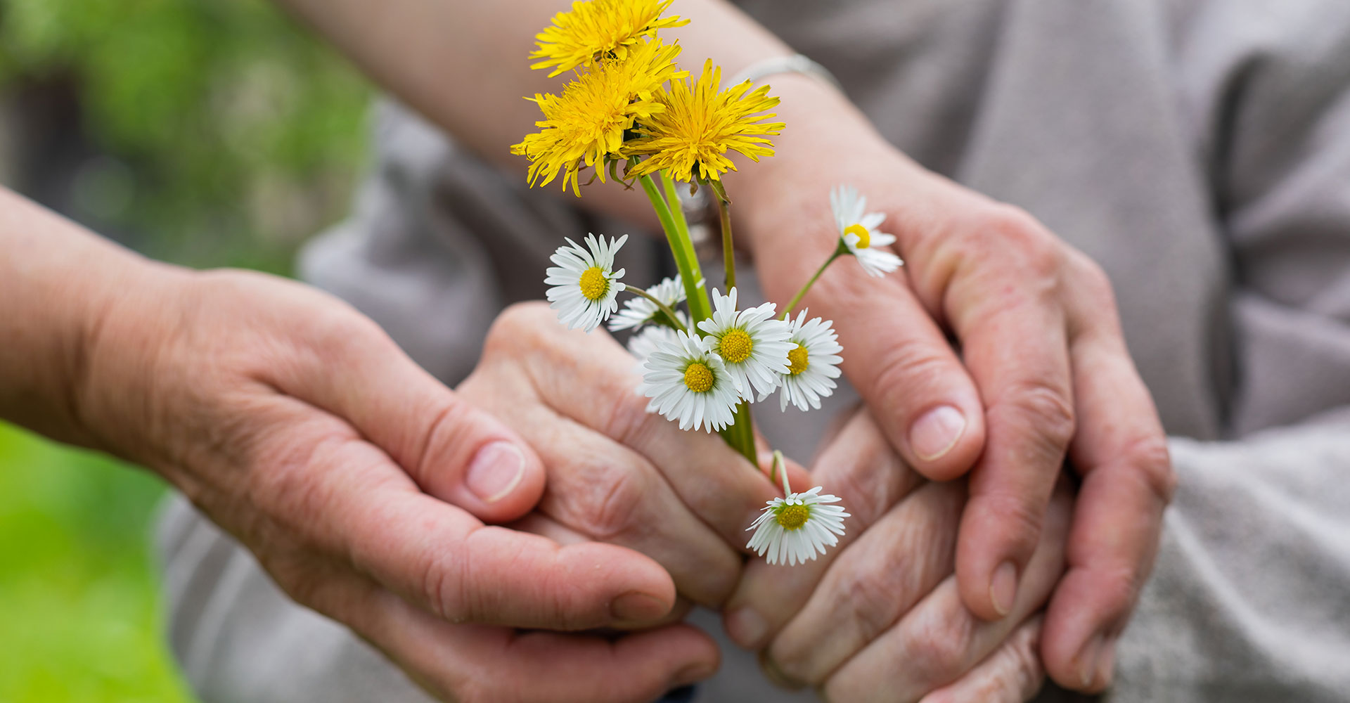 Lichthof - Hände halten Blumen